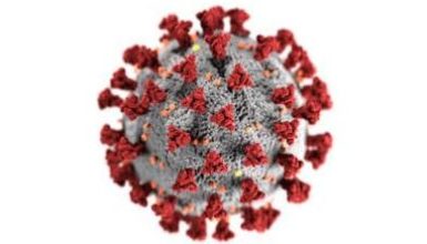 coronavirus4